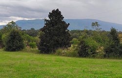 150 Larry Lynch Rd, Delano, TN 37325