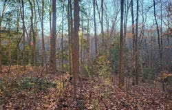 Lot 18  Beech Tree Ct, Gloucester, VA 23061