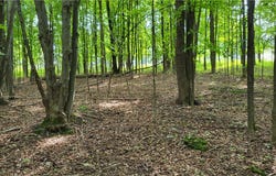 1560 Hines Lakeview Drive, Cumberland, WI 54829