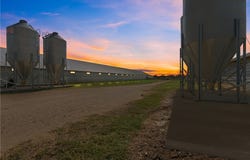 6492 State Highway 304, Harwood, TX 78632