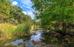 Tbd FM 2342, Burnet, TX 78611
