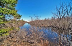 River Road lot: 8, Oakfield, ME 04763