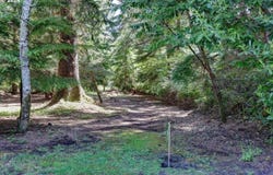 15712 Birch S, Long Beach, WA 98631