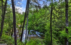 270 Watersong, Ellijay, GA 30540