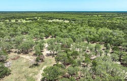 4638 Red Hollow Lane, Smithville, TX 78957