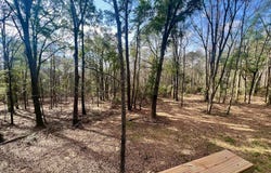 402 Vine St, Troy, AL 36081