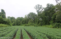 1500 Allen Corner Road, Lamar, MS 38642