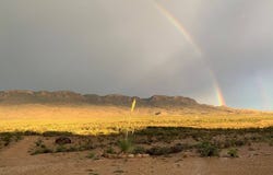 112 Starry Night Road, Terlingua, TX 79852