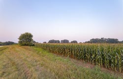 Lot 1 Csm 3944 Highway 22, Montello, WI 53949