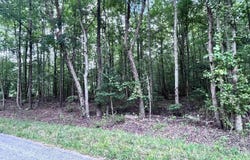 TBD OLD SHORE RD, BLACKSTONE, VA 23824