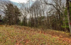 Lot 115 Old Hollow Trail, Fancy Gap, VA 24328