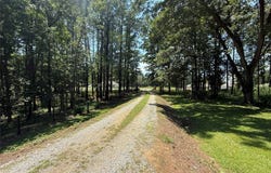 5426 County Road 37, Valley Grande, AL 36701