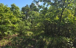 TRACT 40 TRAIL RIDGE ROAD, Albion, OK 74571