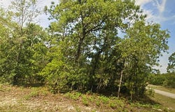 6689 N Bedstrow Blvd, Citrus Springs, FL 34434
