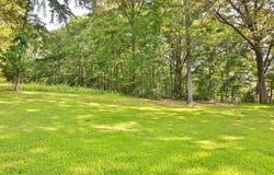 137 Doe, Martin, TN 38237