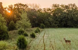 5 S Westminster Boulevard, Guthrie, OK 73044