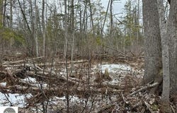 000 PIONEER ROAD, HONOR, MI 49640