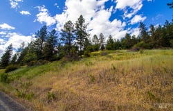 0 Whitetail Drive, Ahsahka, ID 83520