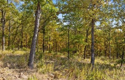 Lot 16 Peaceful  PL, Harrison, AR 72601