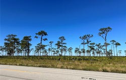 E COUNTY LINE ROAD, FORT MEADE, FL 33841