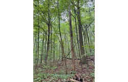 Deckards Run Rd, Utica, PA 16362