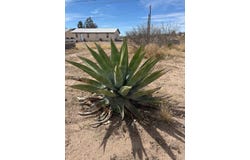 504 E Mendias Street, Marfa, TX 79843