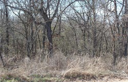 W 9th Street, Stroud, OK 74079