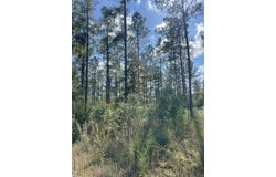 Holly Springs Rd, Foxworth, MS 39483