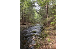 6 Bog Brook Loop, West Paris, ME 04289