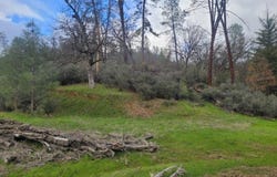 7541 Rush Creek Road, Lewiston, CA 96052