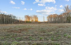 172 Deerwood Trail, Siler City, NC 27344