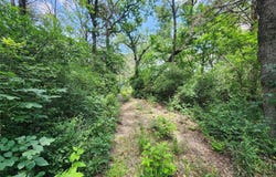 533 Lcr 721, Kosse, TX 76653