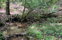 3.85 Ac Old Aska Road S, Blue Ridge, GA 30513