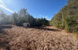 0 Ferrell Road, Red Level, AL 36474