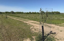 TBD Lot 3 Wild West Place, Belle Fourche, SD 57717