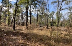 044 Hall Road, Thomasville, GA 31757