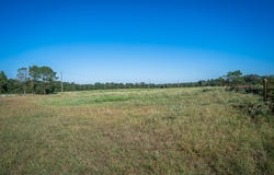 Ora Asa Johnson Rd., Harleton, TX 75651