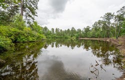 126 Eakin Road, Climax, GA 39819