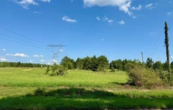 2379 County Road 73, Newville, AL 36353