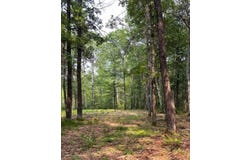 2.5 Acres COUNTY ROAD Y, Tomahawk, WI 54487
