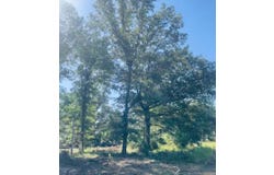 21 Pike Lane, Almyra, AR 72003
