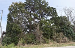 205 2nd Avenue, Long Beach, MS 39560