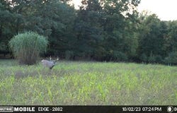 3745 Jackson Road, Blanchard, MI 49310