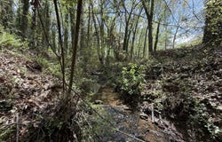 0 Linda, Hartwell, GA 30643