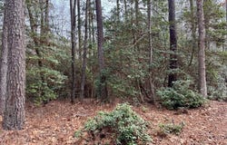 270&276 Ridge Road, LANCASTER, VA 22503