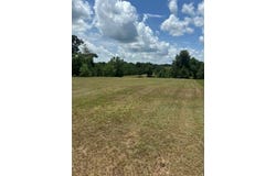 119 Weeping Willow Trail, Headland, AL 36345