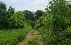 4.07 Ac Little Bear Road, Spring Green, WI 53588