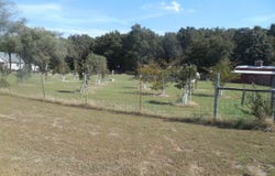 3524 State Highway AA, Sikeston, MO 63801
