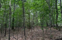 M13 L18-b Fish Road, Anson, ME 04911