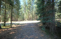 Elk Springs Dr lot: 3-G-12, McCloud, CA 96057